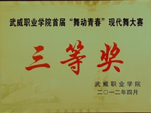 首屆“舞動青春”現代舞大賽三等獎