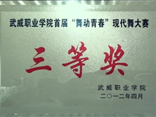 首屆“舞動青春”現代舞大賽三等獎