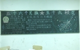 汽車工程系開展第十二個民族團結進步宣傳月主題班會活動